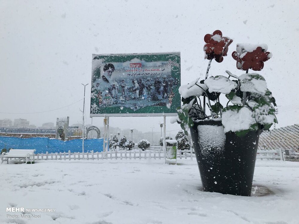 تصاویری لذت بخش از بارش برف در کرمانشاه